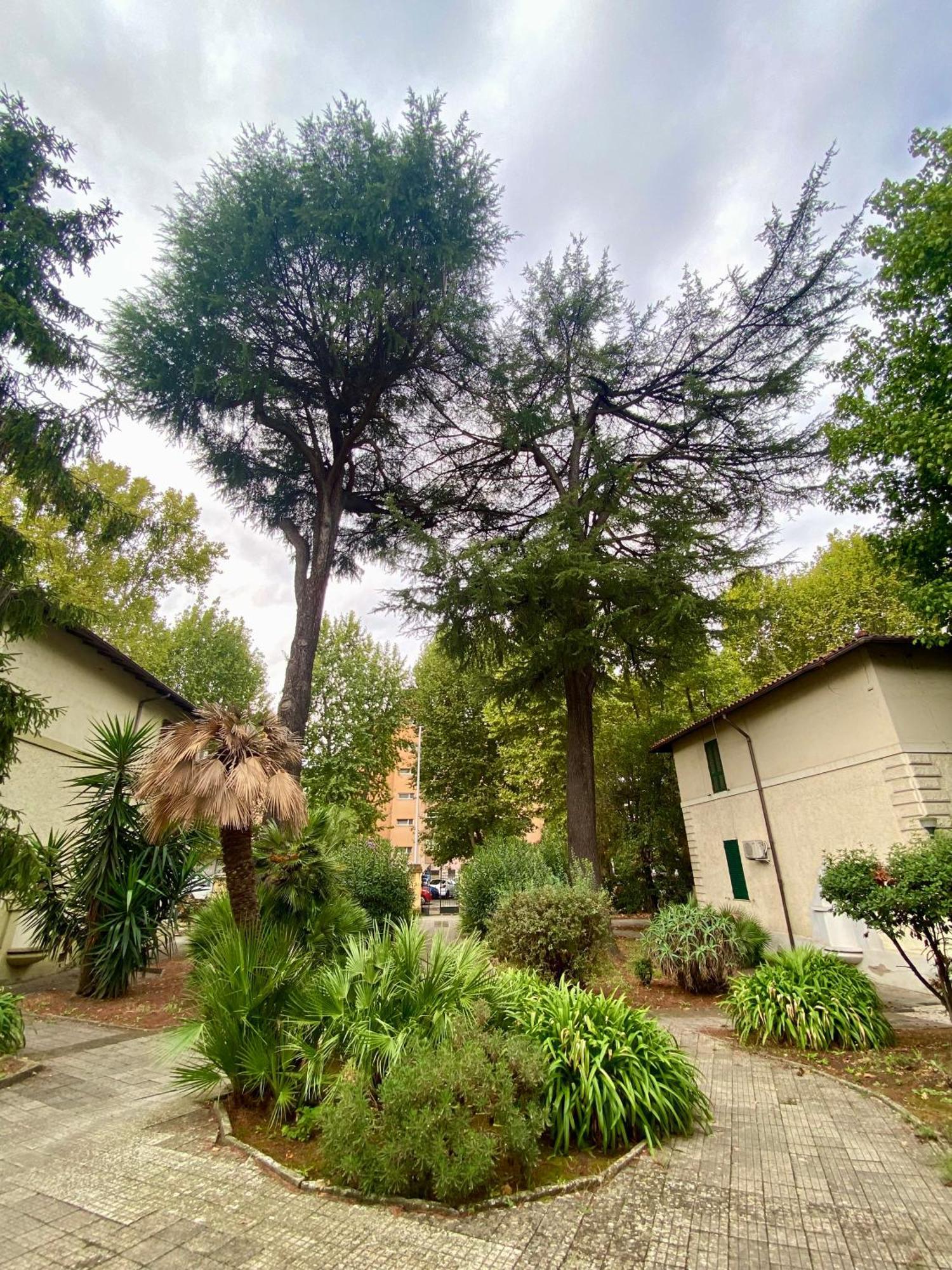 A Casa Con Greta Apartamento Roma Exterior foto
